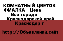 КОМНАТНЫЙ ЦВЕТОК -ФИАЛКА › Цена ­ 1 500 - Все города  »    . Краснодарский край,Краснодар г.